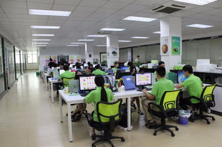 科技中介服务 看准网如何连接企业与人才的桥梁